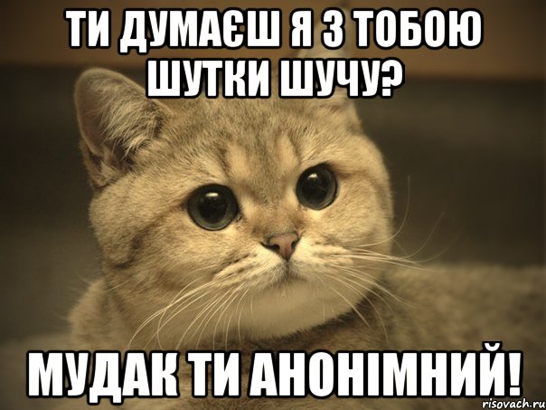 ти думаєш я з тобою шутки шучу? мудак ти анонімний!, Мем Пидрила ебаная котик