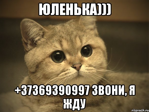 юленька))) +37369390997 звони, я жду, Мем Пидрила ебаная котик