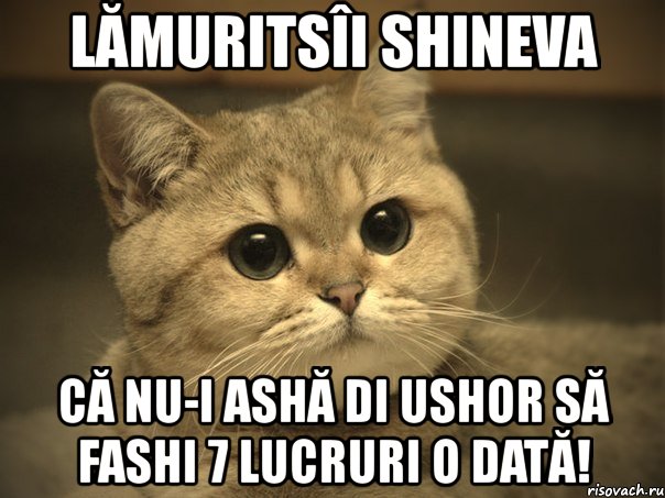 lămuritsîi shineva că nu-i ashă di ushor să fashi 7 lucruri o dată!, Мем Пидрила ебаная котик