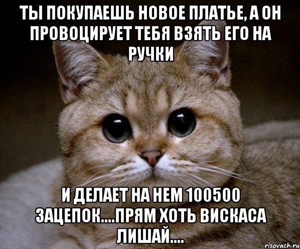 ты покупаешь новое платье, а он провоцирует тебя взять его на ручки и делает на нем 100500 зацепок....прям хоть вискаса лишай...., Мем Пидрила Ебаная