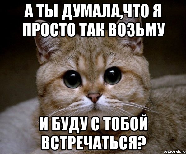 а ты думала,что я просто так возьму и буду с тобой встречаться?, Мем Пидрила Ебаная