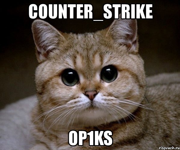 counter_strike op1ks, Мем Пидрила Ебаная