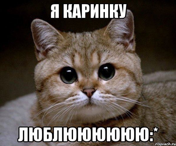 я каринку люблюююююю:*, Мем Пидрила Ебаная