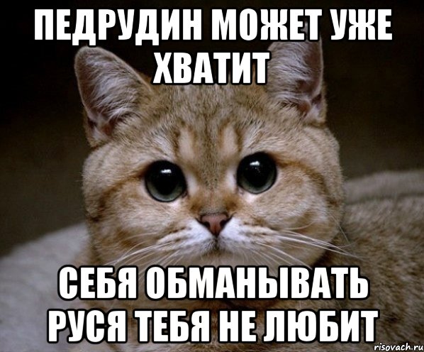педрудин может уже хватит себя обманывать руся тебя не любит, Мем Пидрила Ебаная
