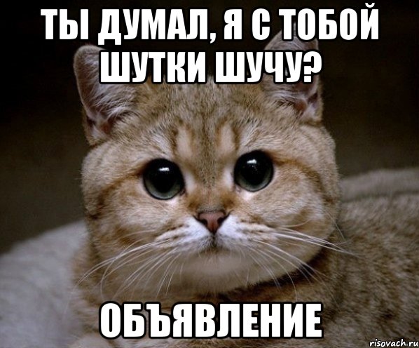 ты думал, я с тобой шутки шучу? объявление, Мем Пидрила Ебаная