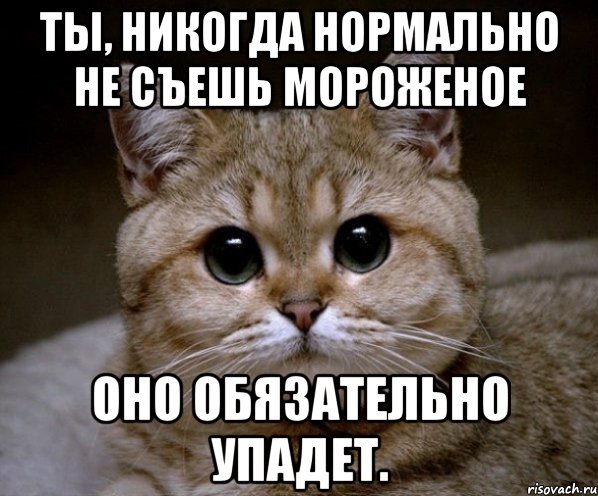 ты, никогда нормально не съешь мороженое оно обязательно упадет., Мем Пидрила Ебаная