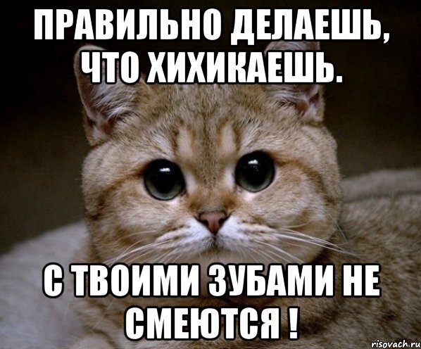 правильно делаешь, что хихикаешь. с твоими зубами не смеются !, Мем Пидрила Ебаная