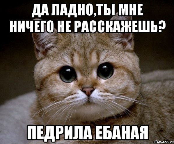 да ладно,ты мне ничего не расскажешь? педрила ебаная, Мем Пидрила Ебаная