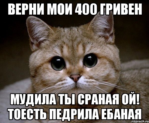 верни мои 400 гривен мудила ты сраная ой! тоесть педрила ебаная, Мем Пидрила Ебаная