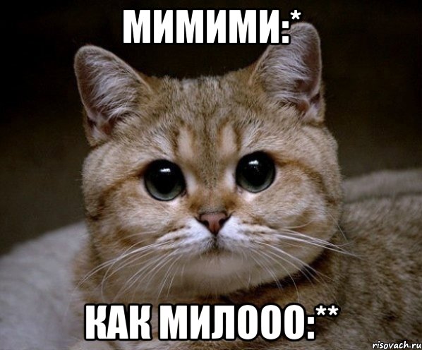 мимими:* как милооо:**, Мем Пидрила Ебаная