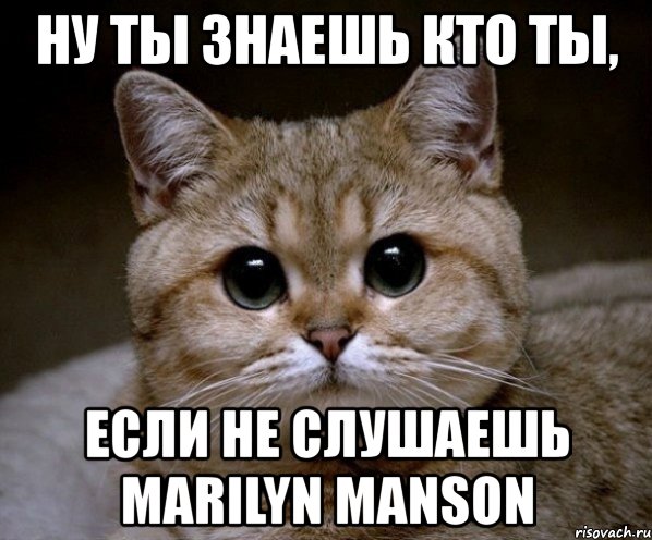 ну ты знаешь кто ты, если не слушаешь marilyn manson, Мем Пидрила Ебаная