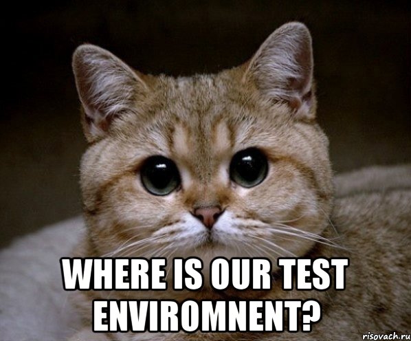  where is our test enviromnent?, Мем Пидрила Ебаная