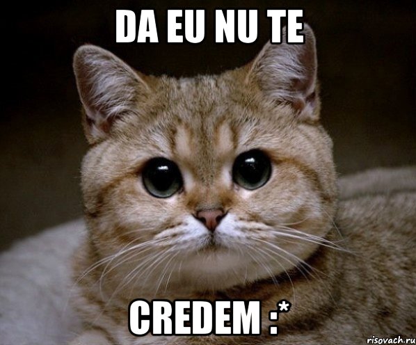 da eu nu te credem :*, Мем Пидрила Ебаная