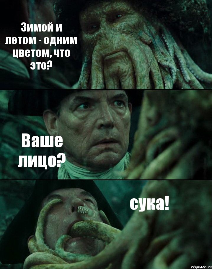 Зимой и летом - одним цветом, что это? Ваше лицо? сука!