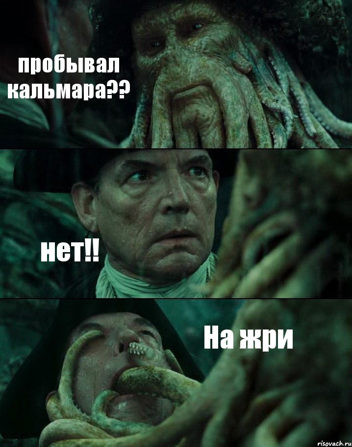 пробывал кальмара?? нет!! На жри