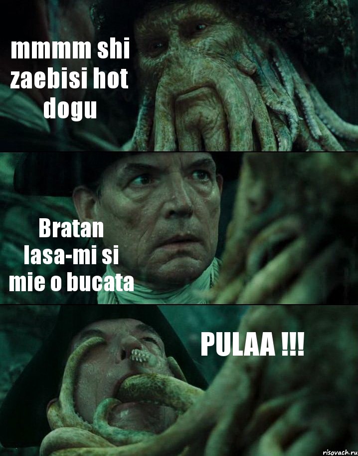 mmmm shi zaebisi hot dogu Bratan lasa-mi si mie o bucata PULAA !!!
