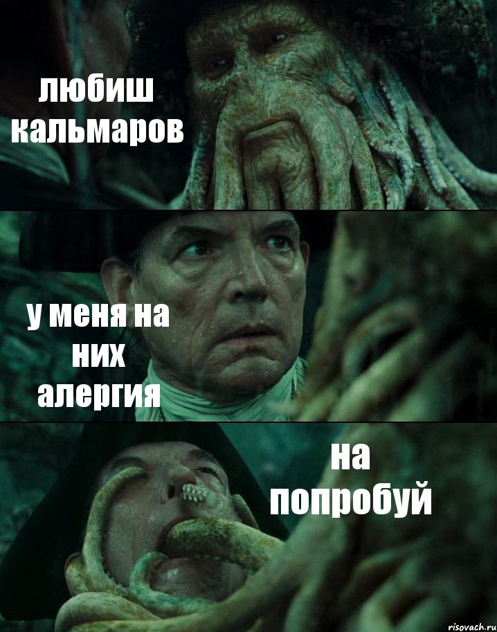 любиш кальмаров у меня на них алергия на попробуй
