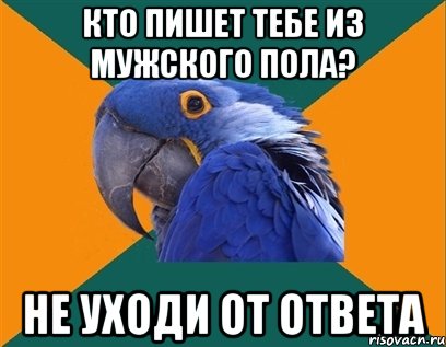 кто пишет тебе из мужского пола? не уходи от ответа, Мем Попугай параноик