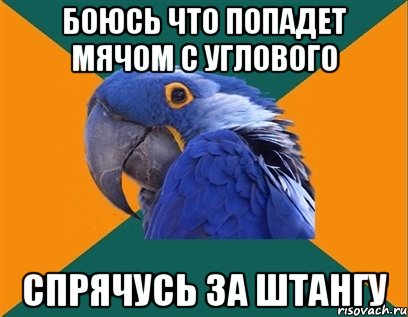 боюсь что попадет мячом с углового спрячусь за штангу, Мем Попугай параноик