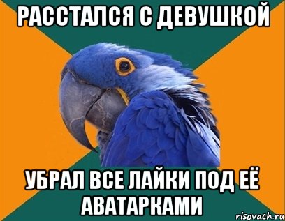 расстался с девушкой убрал все лайки под её аватарками, Мем Попугай параноик