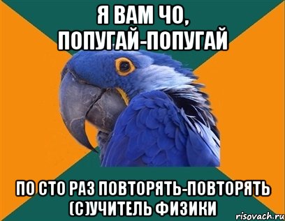 я вам чо, попугай-попугай по сто раз повторять-повторять (с)учитель физики, Мем Попугай параноик