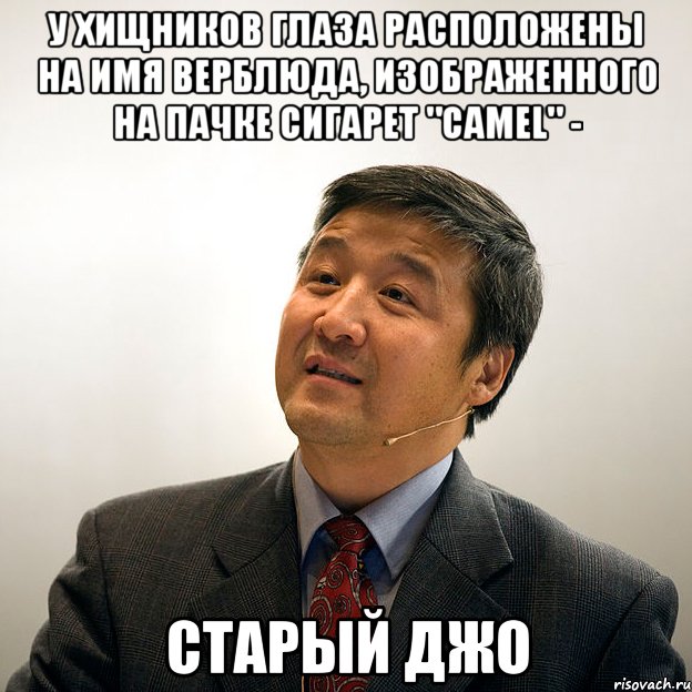 у хищников глаза расположены на имя верблюда, изображенного на пачке сигарет "camel" - старый джо, Мем Профессор Хуй