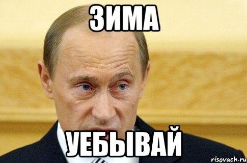 зима уебывай, Мем путин