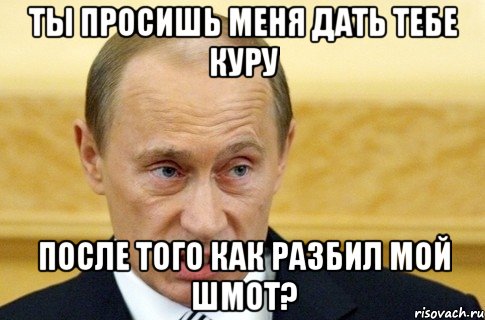 ты просишь меня дать тебе куру после того как разбил мой шмот?, Мем путин