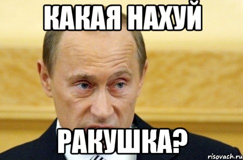 какая нахуй ракушка?, Мем путин