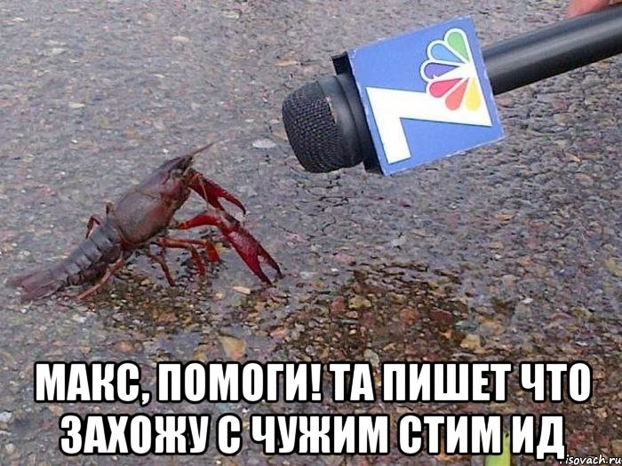  макс, помоги! та пишет что захожу с чужим стим ид