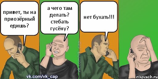 привет, ты на приозёрный едишь? а чего там делать? стебать гусёну? нет бухать!!!, Комикс С кэпом (разговор по телефону)