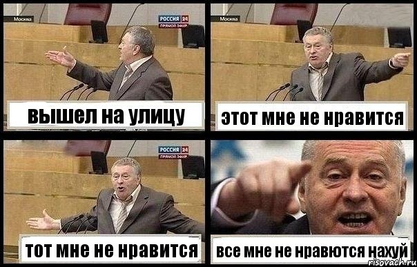 вышел на улицу этот мне не нравится тот мне не нравится все мне не нравются нахуй, Комикс с Жириновским