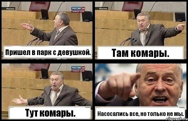 Пришел в парк с девушкой. Там комары. Тут комары. Насосались все, но только не мы., Комикс с Жириновским