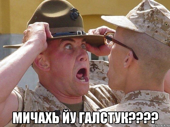  мичахь йу галстук???, Мем Сержант Охуели