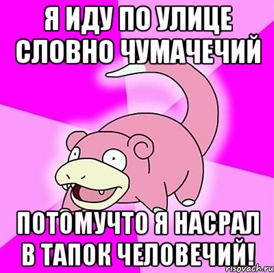 я иду по улице словно чумачечий потомучто я насрал в тапок человечий!, Мем слоупок