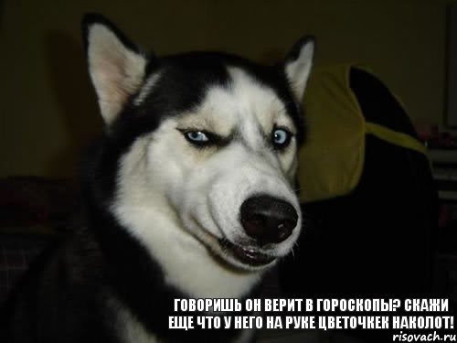 говоришь он верит в гороскопы? Скажи еще что у него на руке цветочкек наколот!, Комикс  Собака подозревака