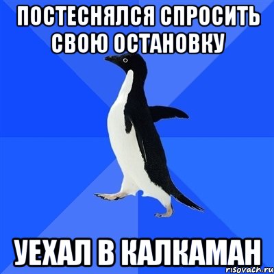 постеснялся спросить свою остановку уехал в калкаман, Мем  Социально-неуклюжий пингвин