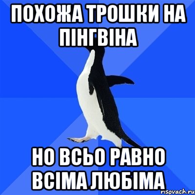 похожа трошки на пінгвіна но всьо равно всіма любіма, Мем  Социально-неуклюжий пингвин