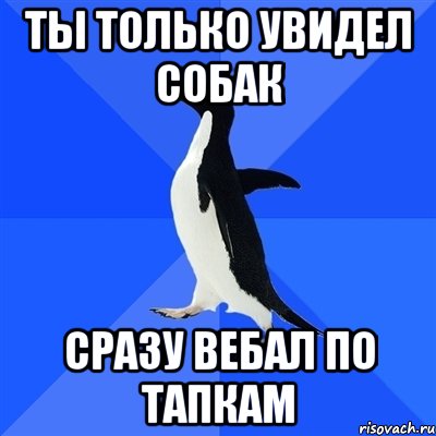 ты только увидел собак сразу вебал по тапкам, Мем  Социально-неуклюжий пингвин