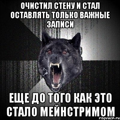 очистил стену и стал оставлять только важные записи еще до того как это стало мейнстримом, Мем Сумасшедший волк