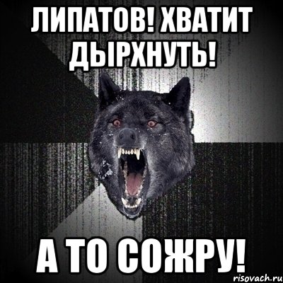 липатов! хватит дырхнуть! а то сожру!, Мем Сумасшедший волк