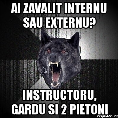 ai zavalit internu sau externu? instructoru, gardu si 2 pietoni, Мем Сумасшедший волк