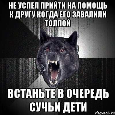 не успел прийти на помощь к другу когда его завалили толпой встаньте в очередь сучьи дети, Мем Сумасшедший волк