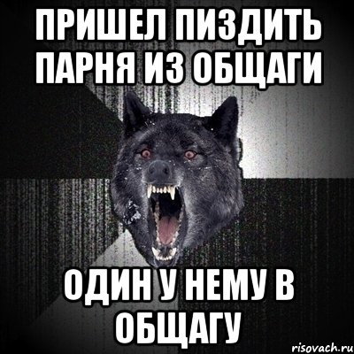 пришел пиздить парня из общаги один у нему в общагу, Мем Сумасшедший волк