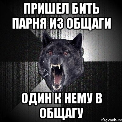 пришел бить парня из общаги один к нему в общагу, Мем Сумасшедший волк