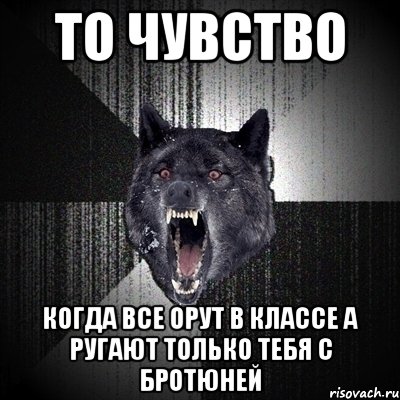 то чувство когда все орут в классе а ругают только тебя с бротюней, Мем Сумасшедший волк