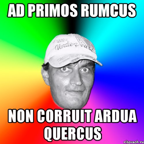 ad primos rumcus non corruit ardua quercus, Мем Сысой-2