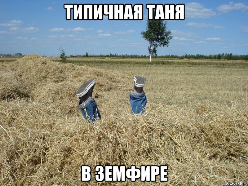 типичная таня в земфире, Мем типичная таня