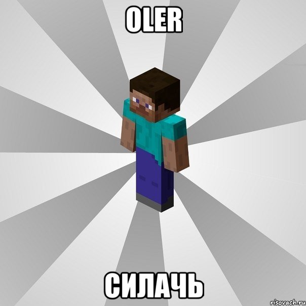 oler силачь, Мем Типичный игрок Minecraft