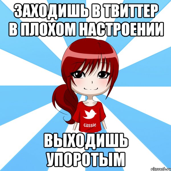 заходишь в твиттер в плохом настроении выходишь упоротым, Мем типичный твиттерский касси